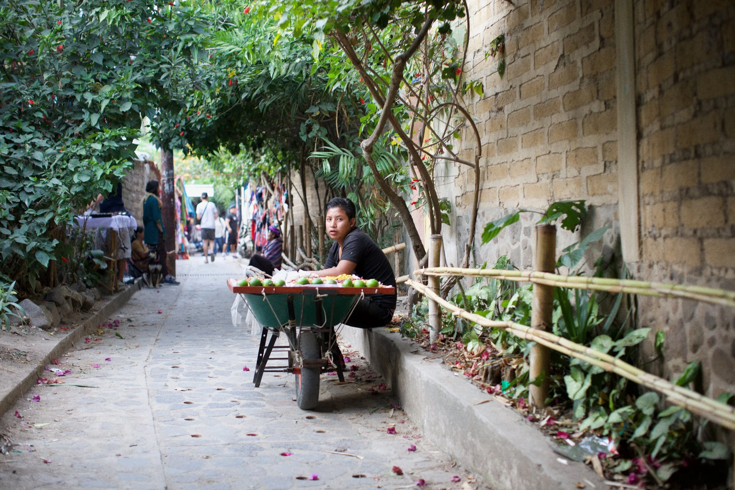 Guatemalan Vendor, San Marcos.jpg