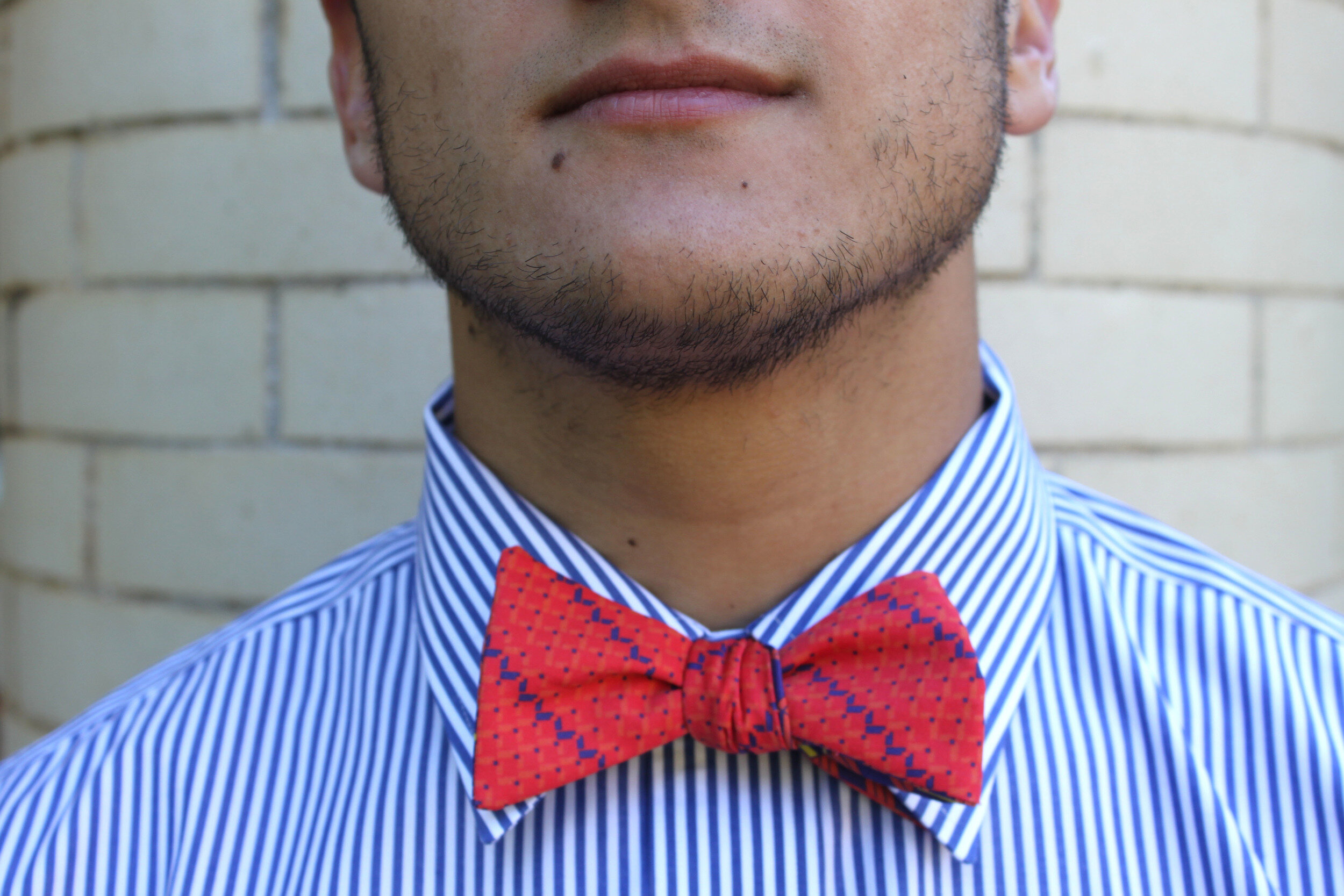 Bowties_6.jpg