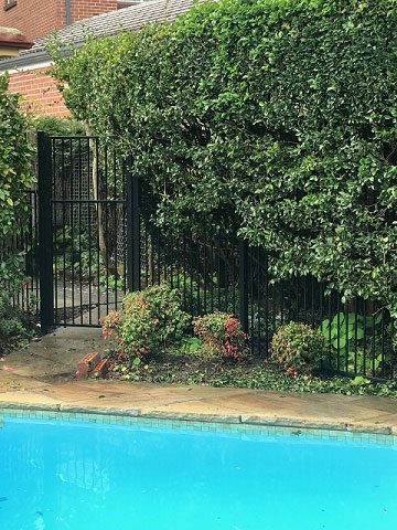 aluminium pool fence with gate