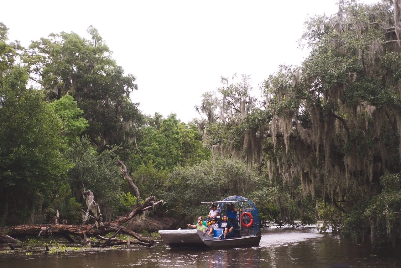 airboat_in_the_swamp.jpg