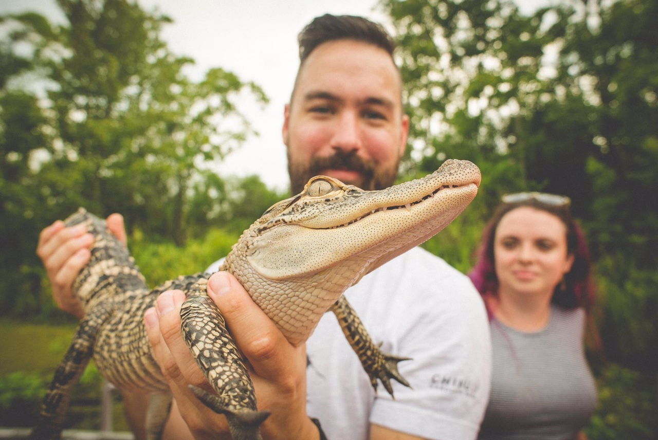 hold_a_gator.jpg