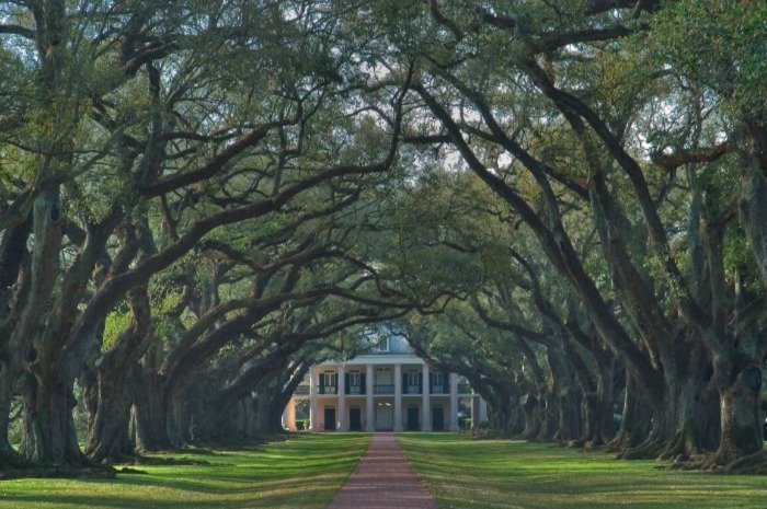 Oak Alley Plantation