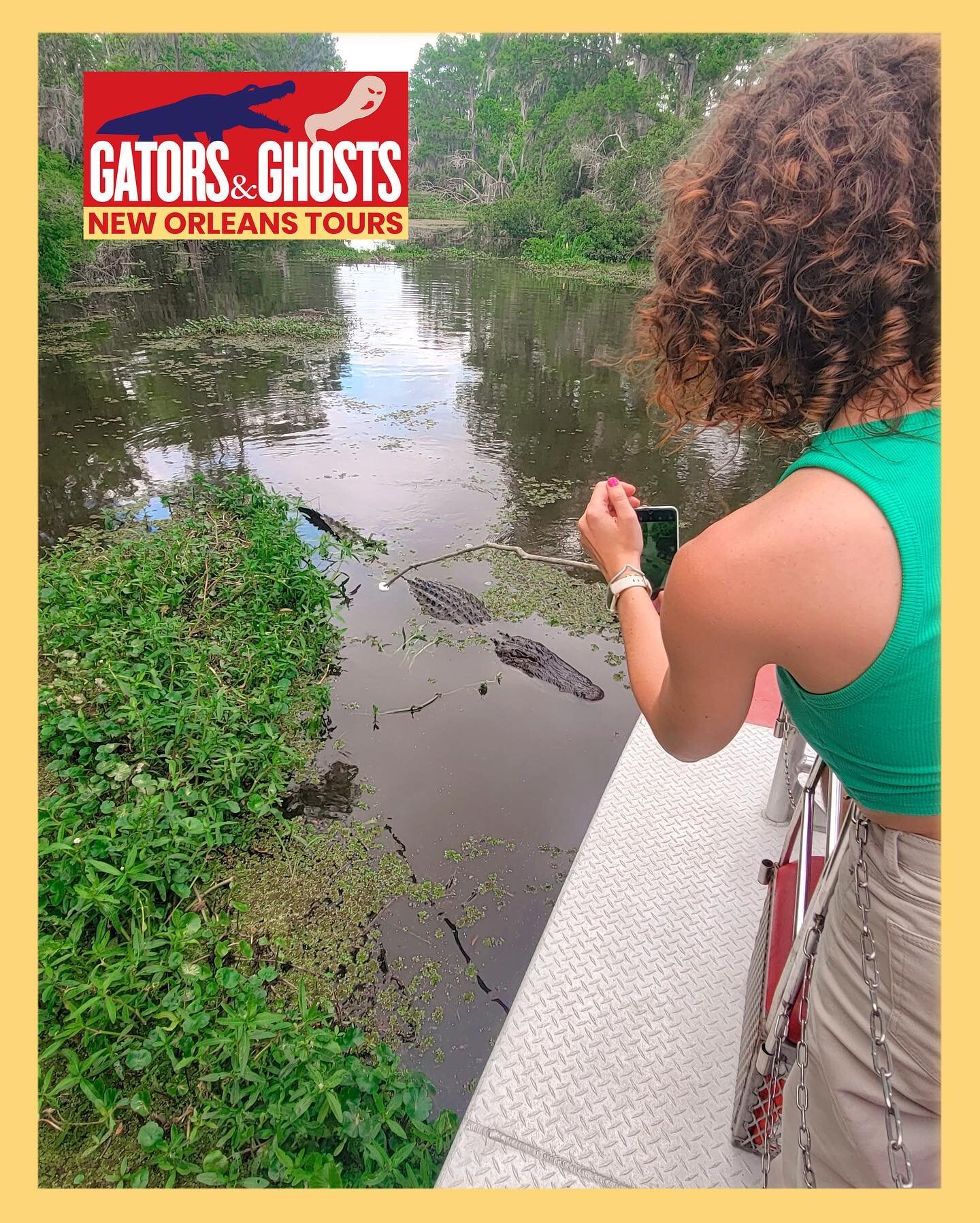 Want to spice up your day? Add some gators! We&rsquo;re ready to help you plan a thrilling outing to the swamp to take your day from drab to fab! Give us a call or check out your options at GatorsAndGhosts.com

#gatorsandghosts #neworleans #nola #thi