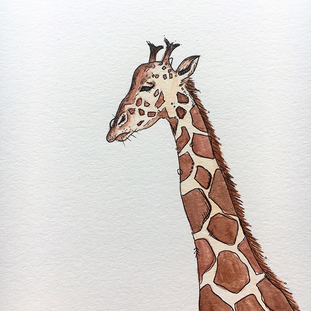Working on some fun new projects. 🦒🦒🦒
#giraffe #wildanimals #safari #wildlife #animalkingdom #outdoors #wildlifeart #animalart #art #artsy #artist #paint #painting #watercolor #watercolorpaint #micronpen #illustration #illustrator #design #designe