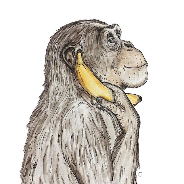 ...sorry I had to call, it&rsquo;s hard to text on this thing.
.
.
.
.
.
.

#monkey #chimpanzee #outdoors #wildlifeart #animalart #art #artsy #artist #paint #painting #watercolor #watercolorpaint #micronpen #illustration #illustrator #design #designe