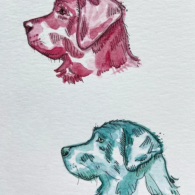 Same dog, different outcome. 🤷🏻&zwj;♀️