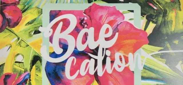 March 2018 Boxycharm-Bae CationDSC05247.jpg