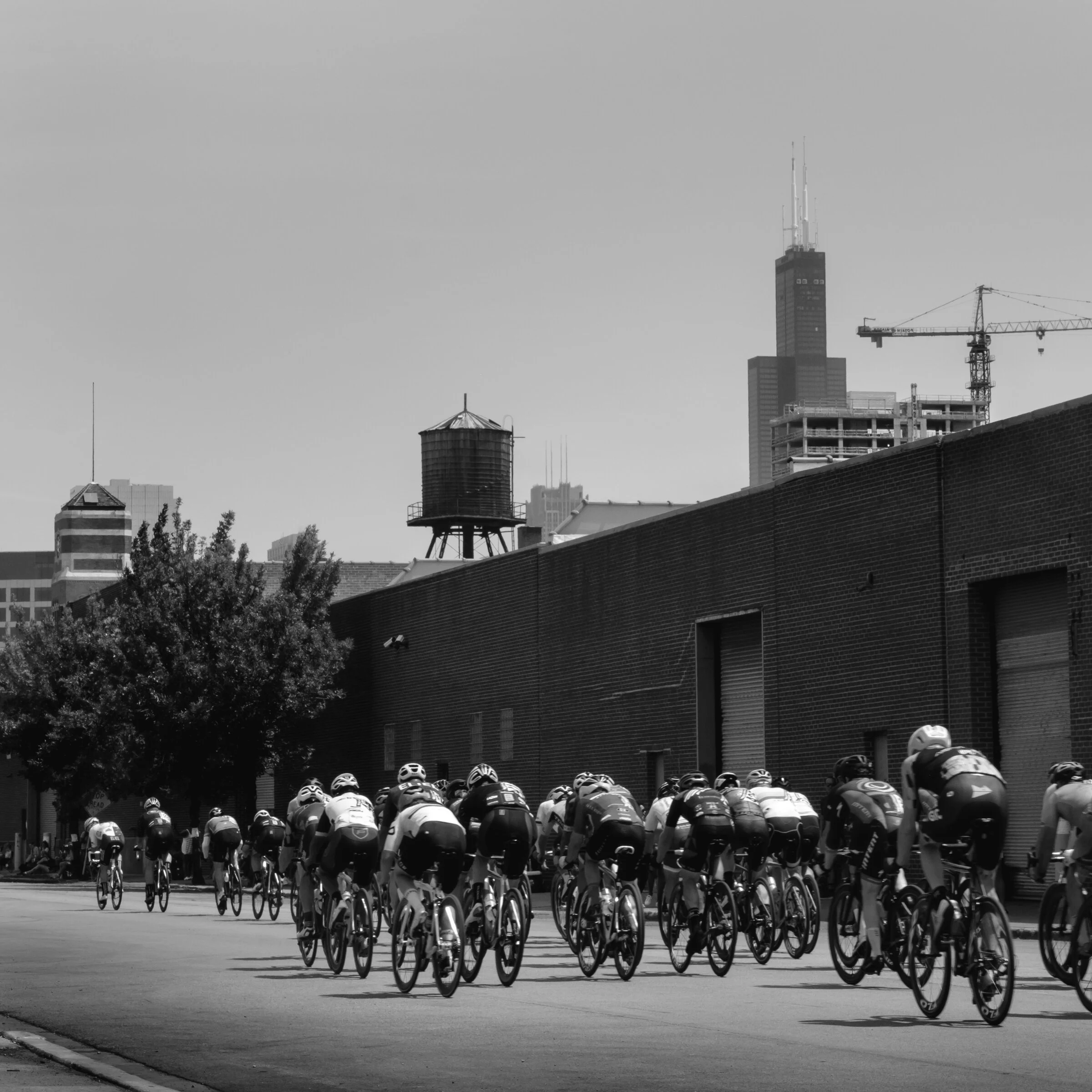 Intelligentsia Cup 07.2X.2021