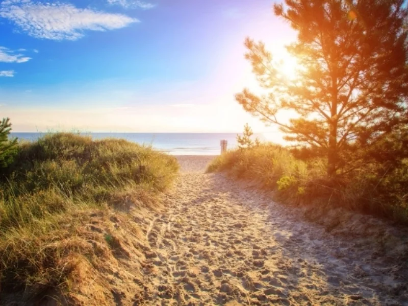 Sun and Sand