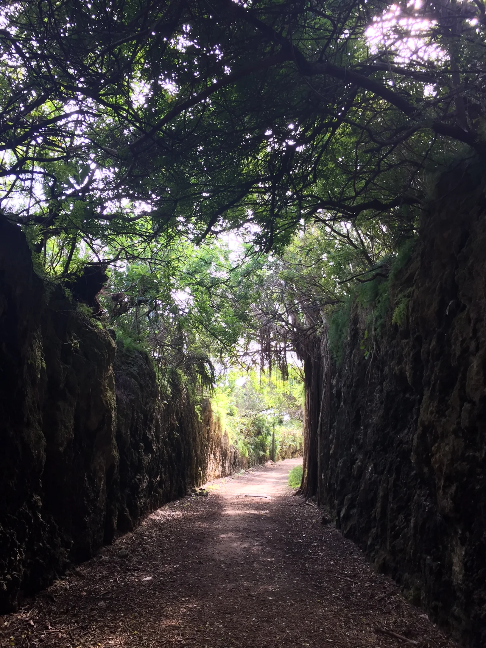 A Peaceful Trail