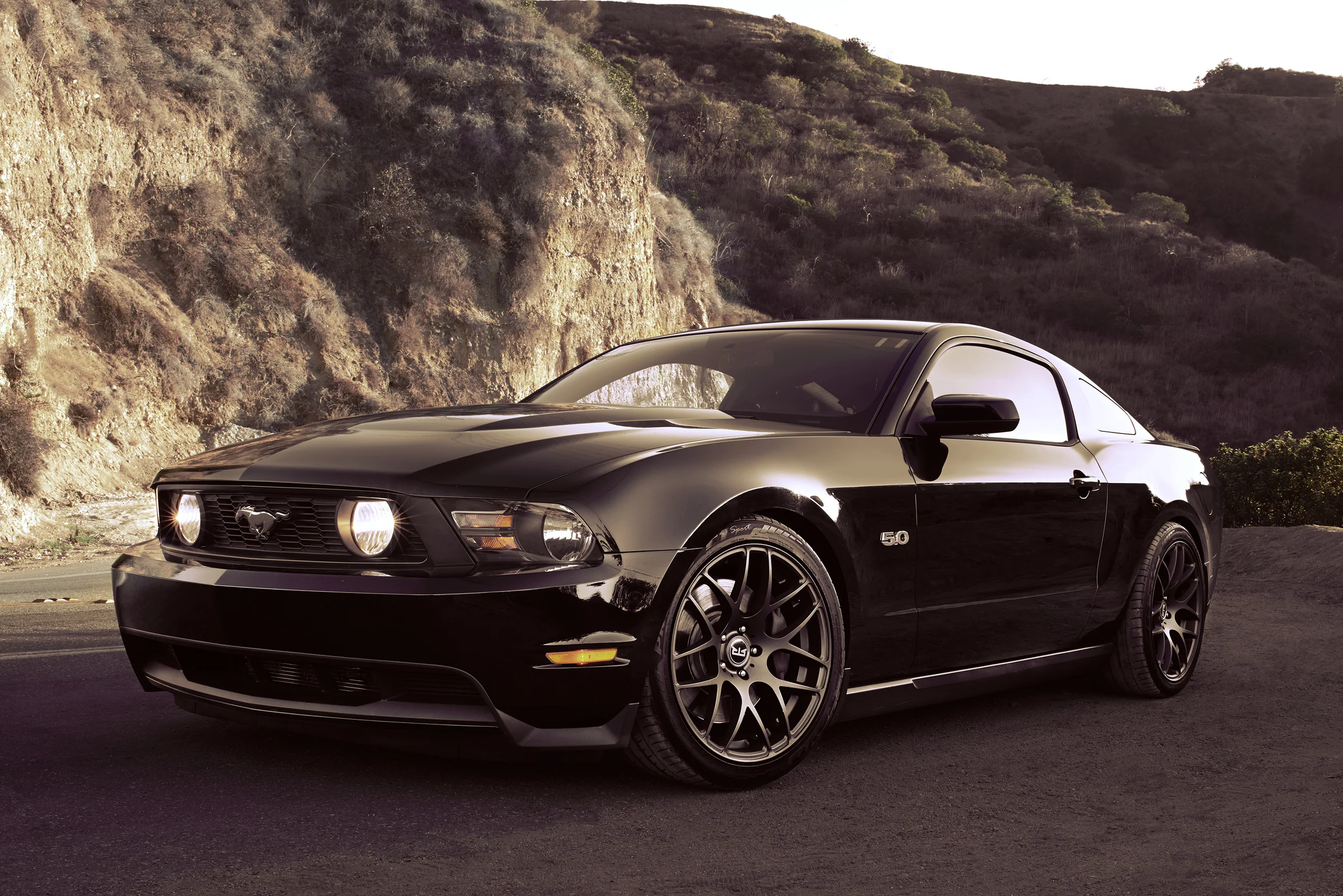 Diego Mustang desaturated.jpg