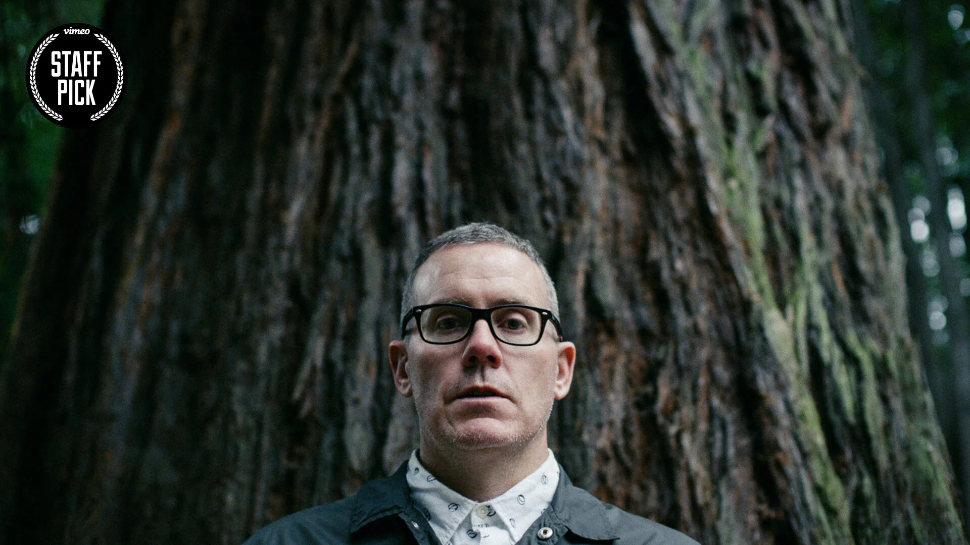 toast2 w staff pick logo-1.jpg