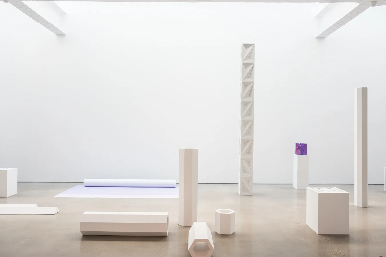 Sara VanDerBeek at Metro Pictures