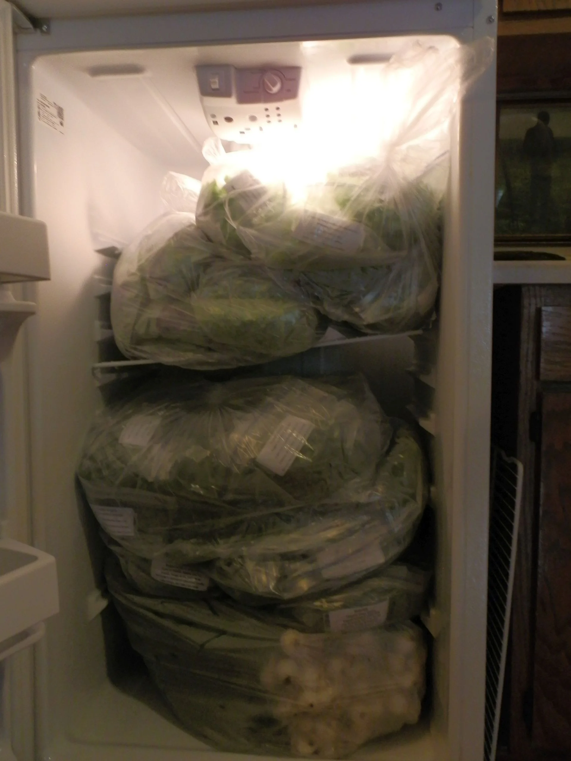 The week's bounty of green onion, kale, and spinach ready for the Clarkston Farmer's Market