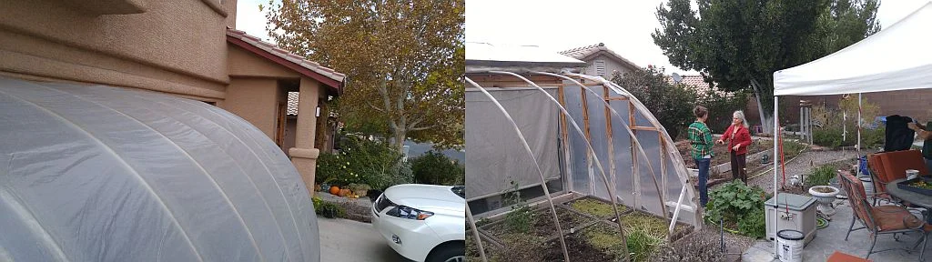 Left, the driveway greenhouse Randy built 3 years ago for about $120. Right, the backyard greenhouse features a roll up wall for easy climate control. 