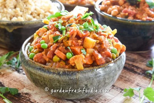Jessica Meyers Altman Winter Vindaloo.jpg