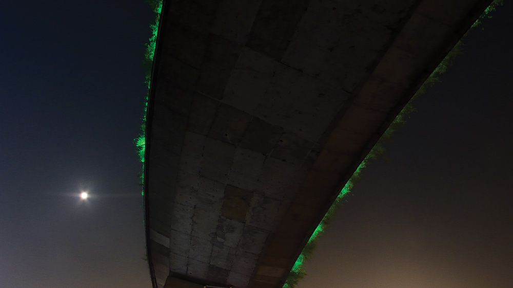bridge-and-moon-CMYK.jpg