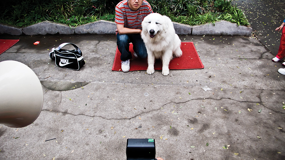 dog-boy-polaroid-CMYK.jpg