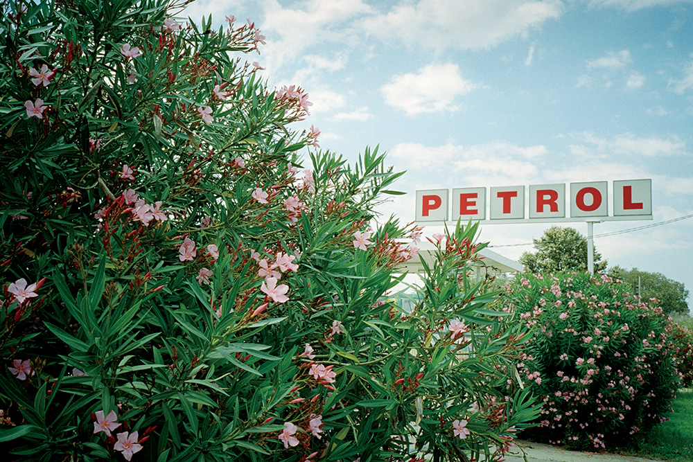 Petrol-Flowers-CMYK.jpg