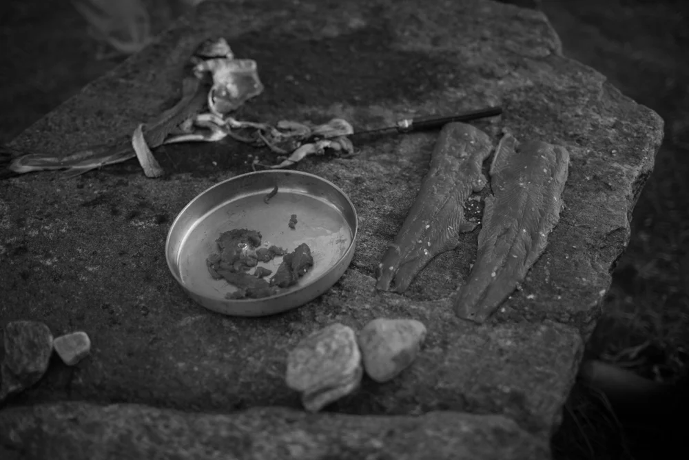 cws-documentary-salmon-1.jpg