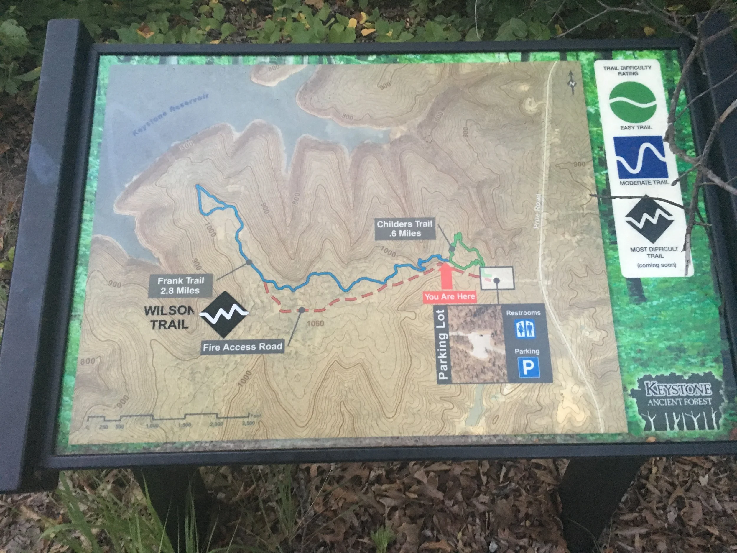Keystone Ancient Forest — Sandite Pride News