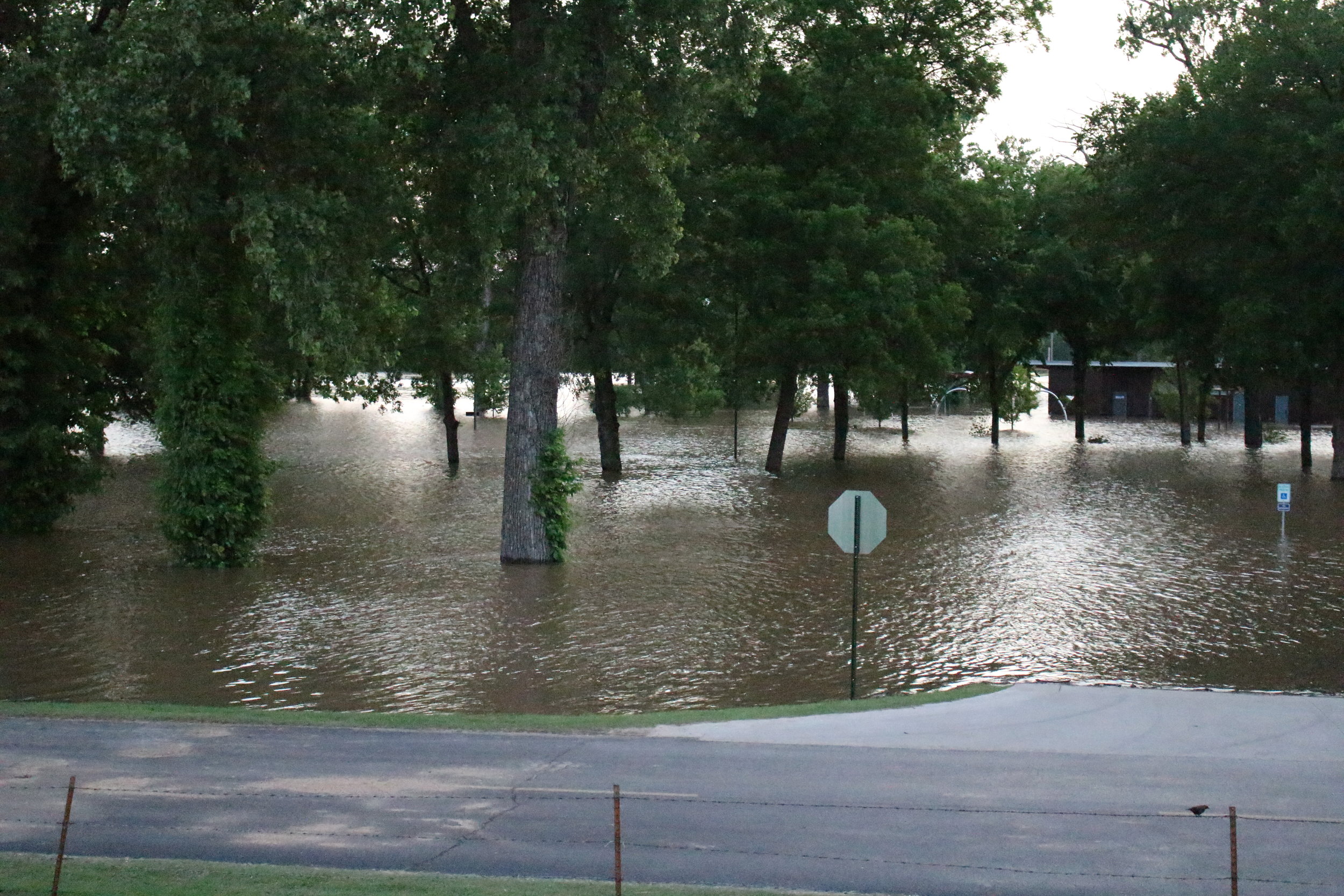 Sand Springs flooding at Case Community Park 010