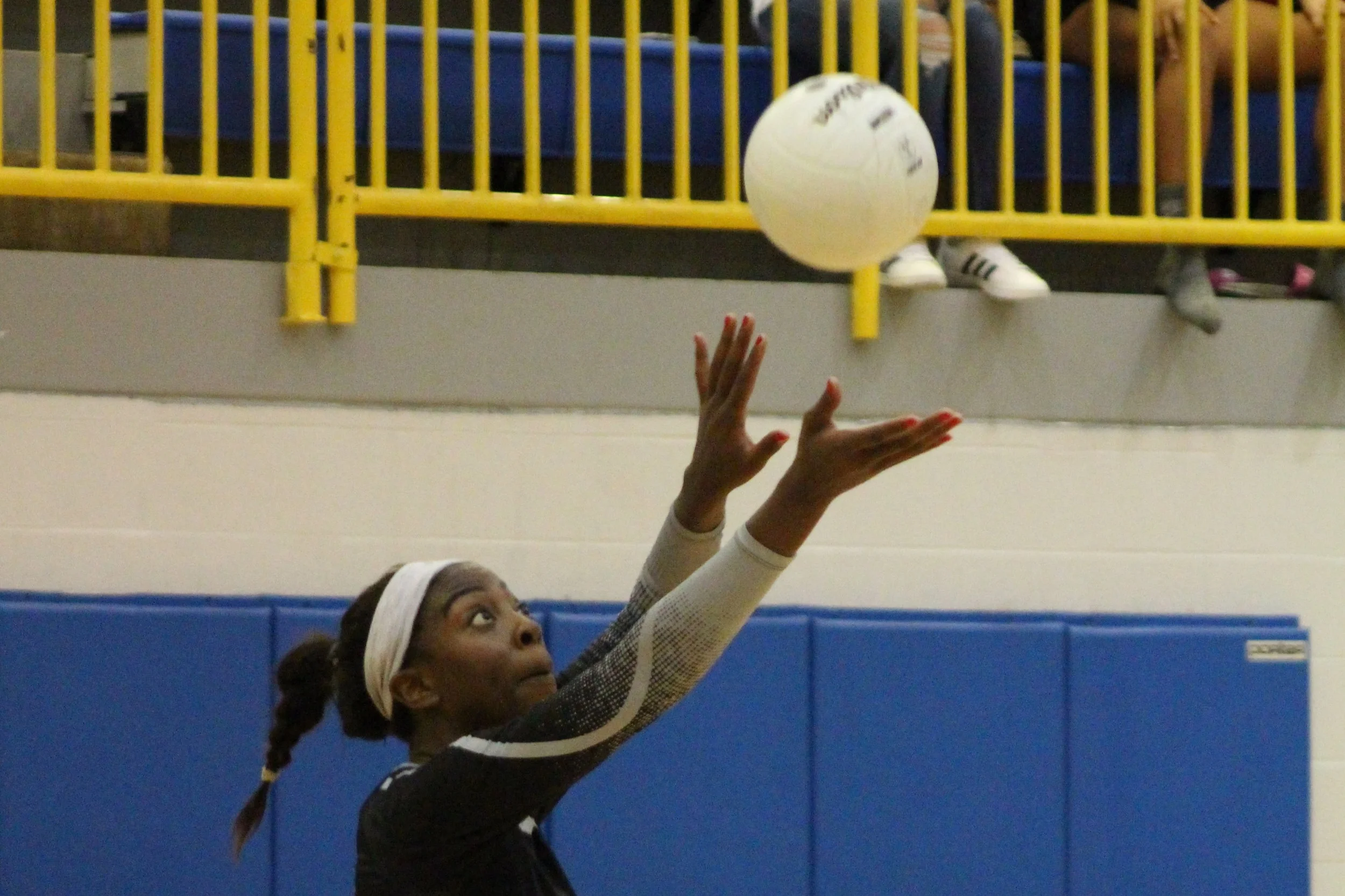 Sandite Alumni Report: Fall sports wrapping up, lots of Sandites see action