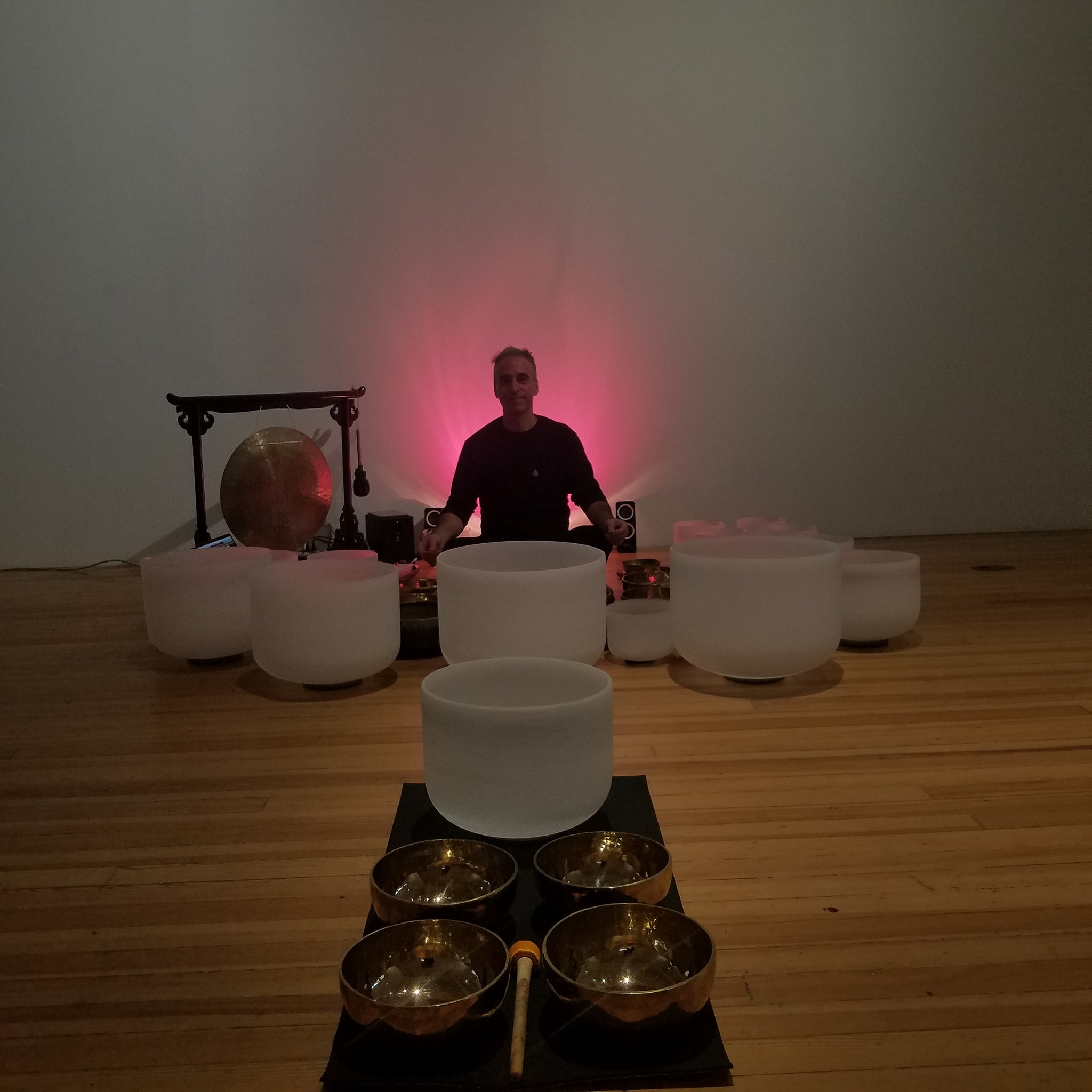SAC lotus 1.jpg