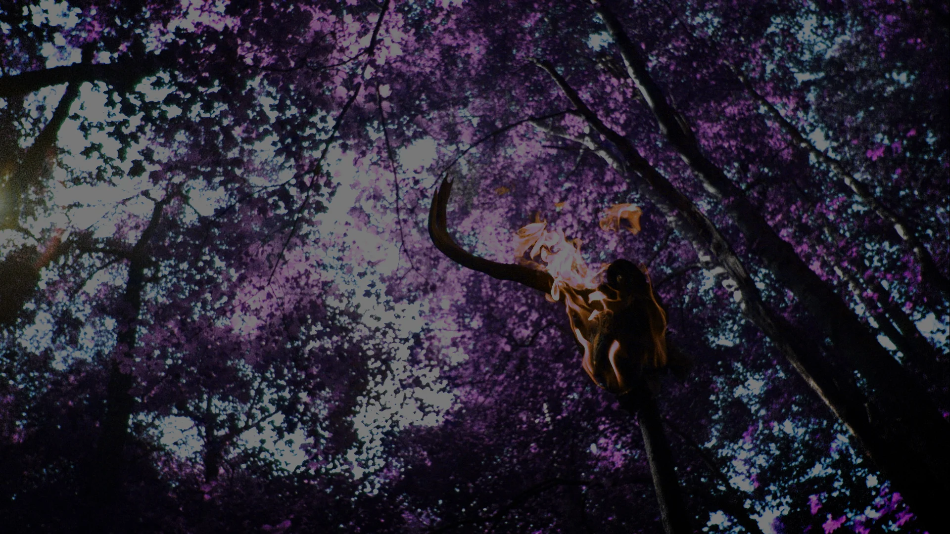 VE Online 1.12.14.00_23_39_07.Still0162.jpg