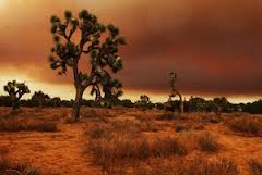 Antelope valley.jpg