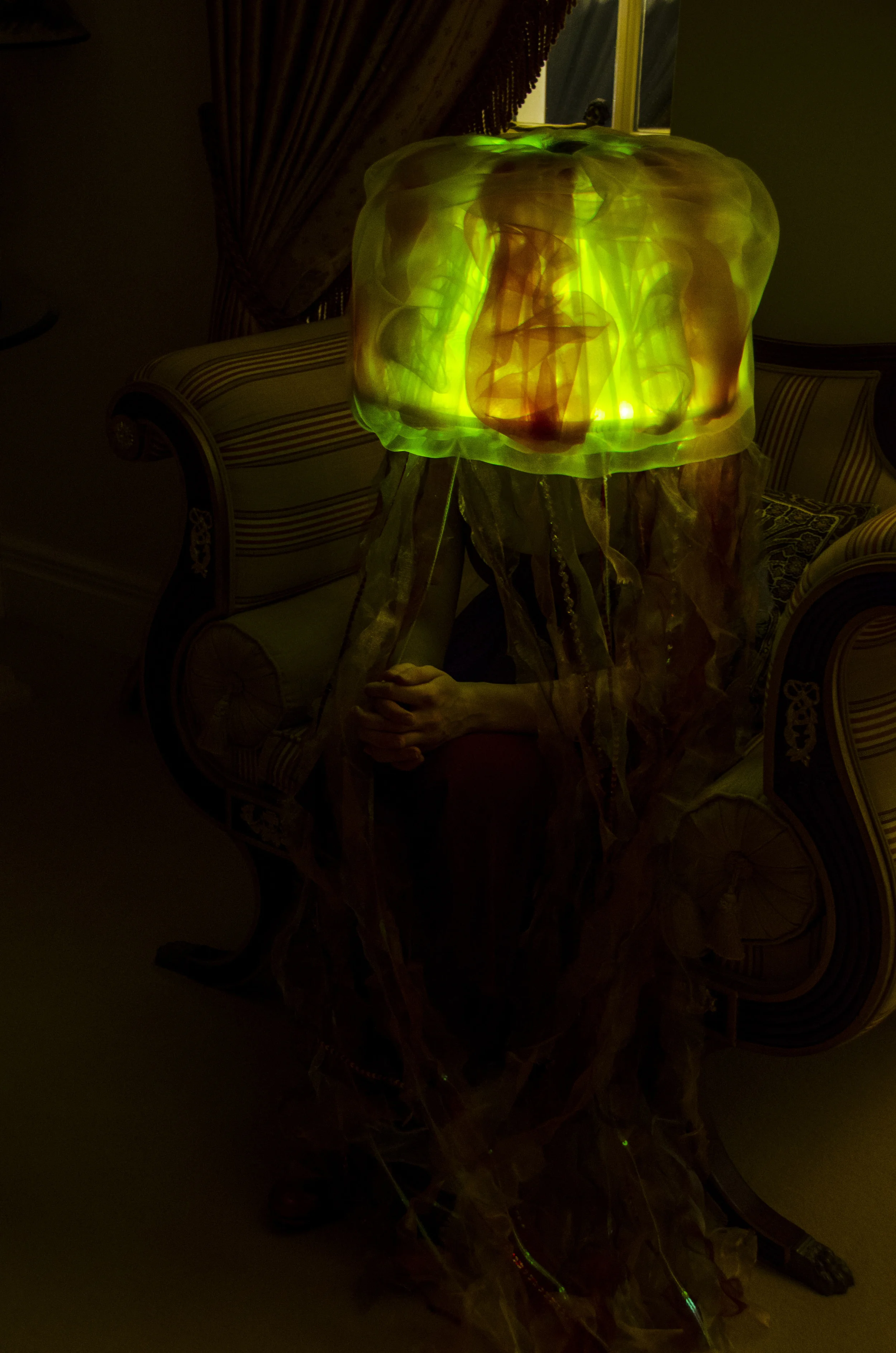 jelly.jpg