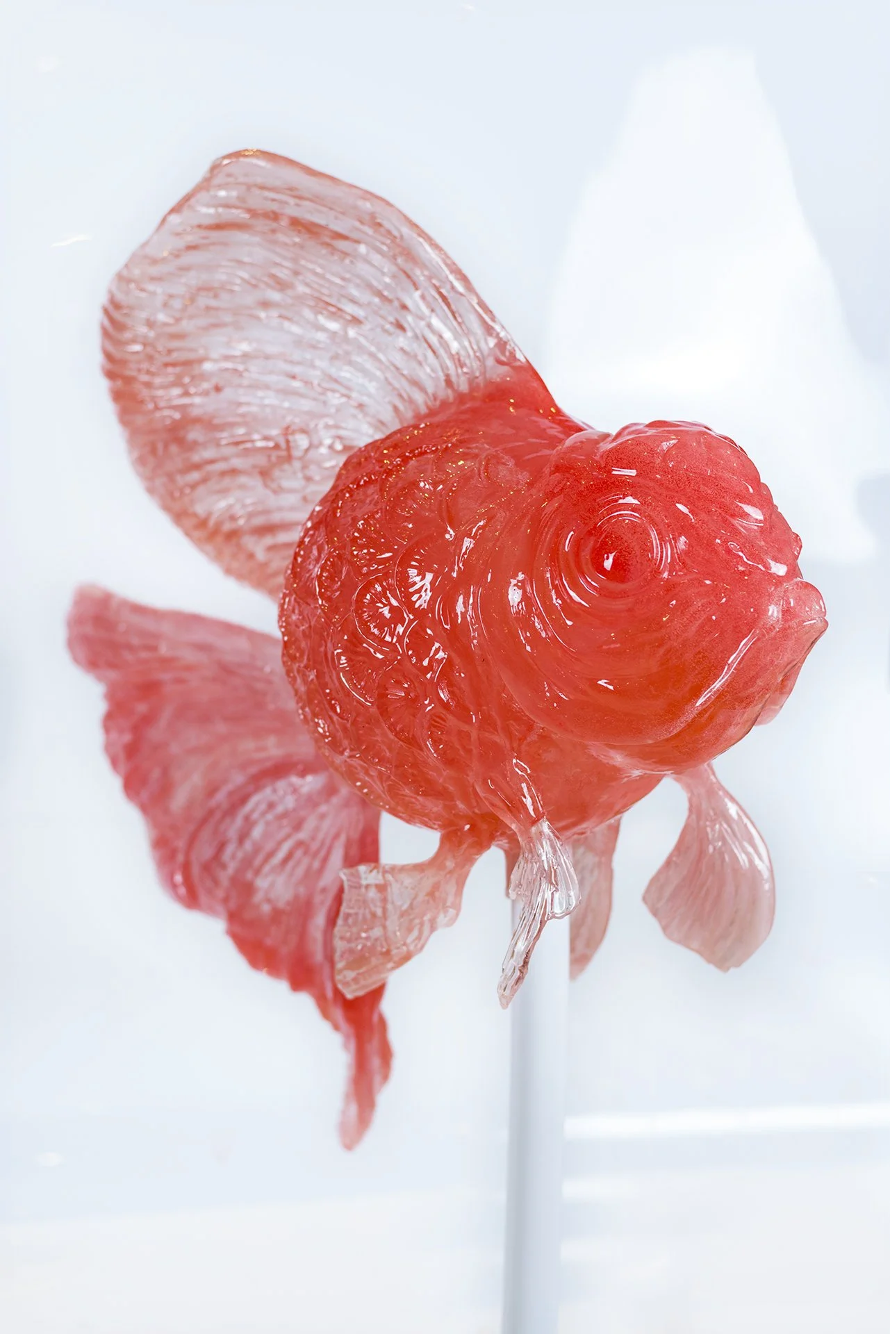 Okroyan.goldfish.3.jpg