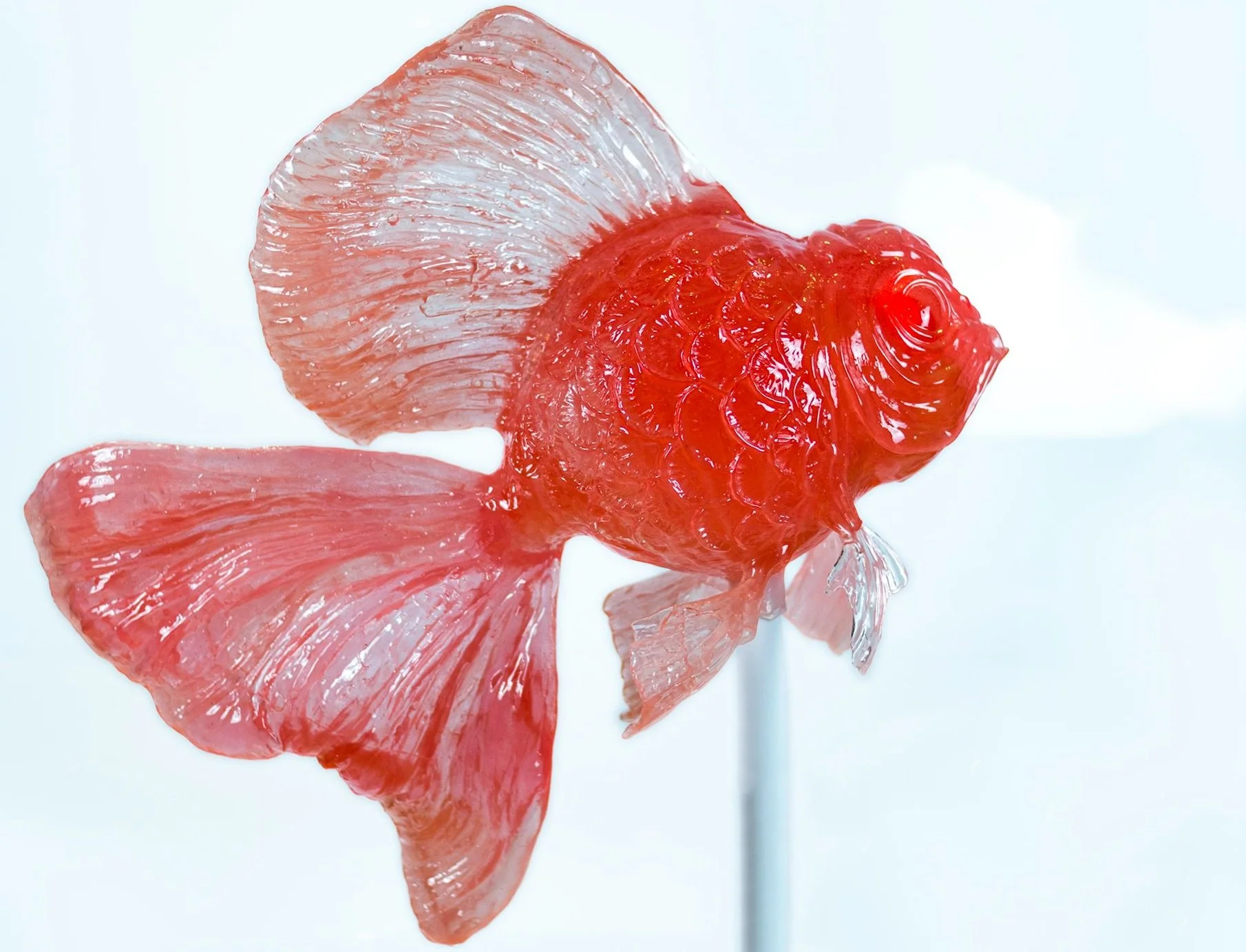 Okroyan.goldfish.2.jpg