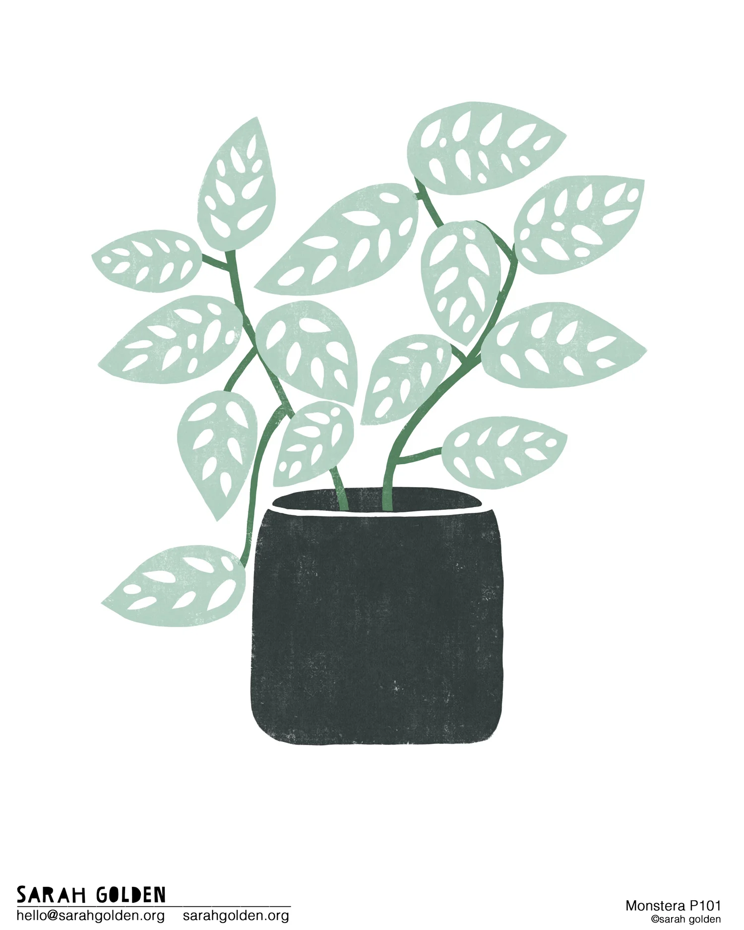 Monstera_P101_Sarah_Golden_web.jpg