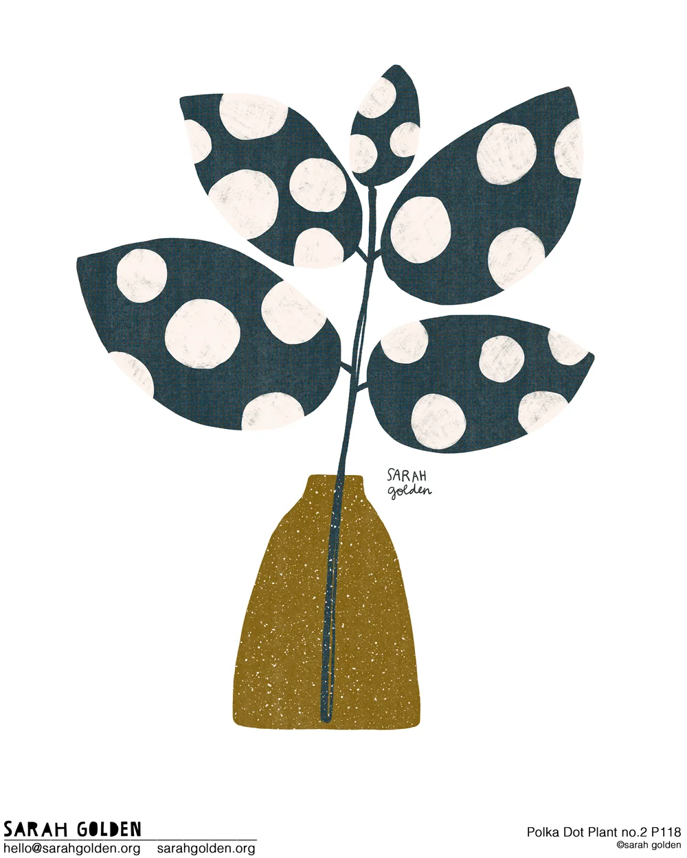 Polka_Dot_2_Catalog_Sarah_Golden_logo_web.jpg