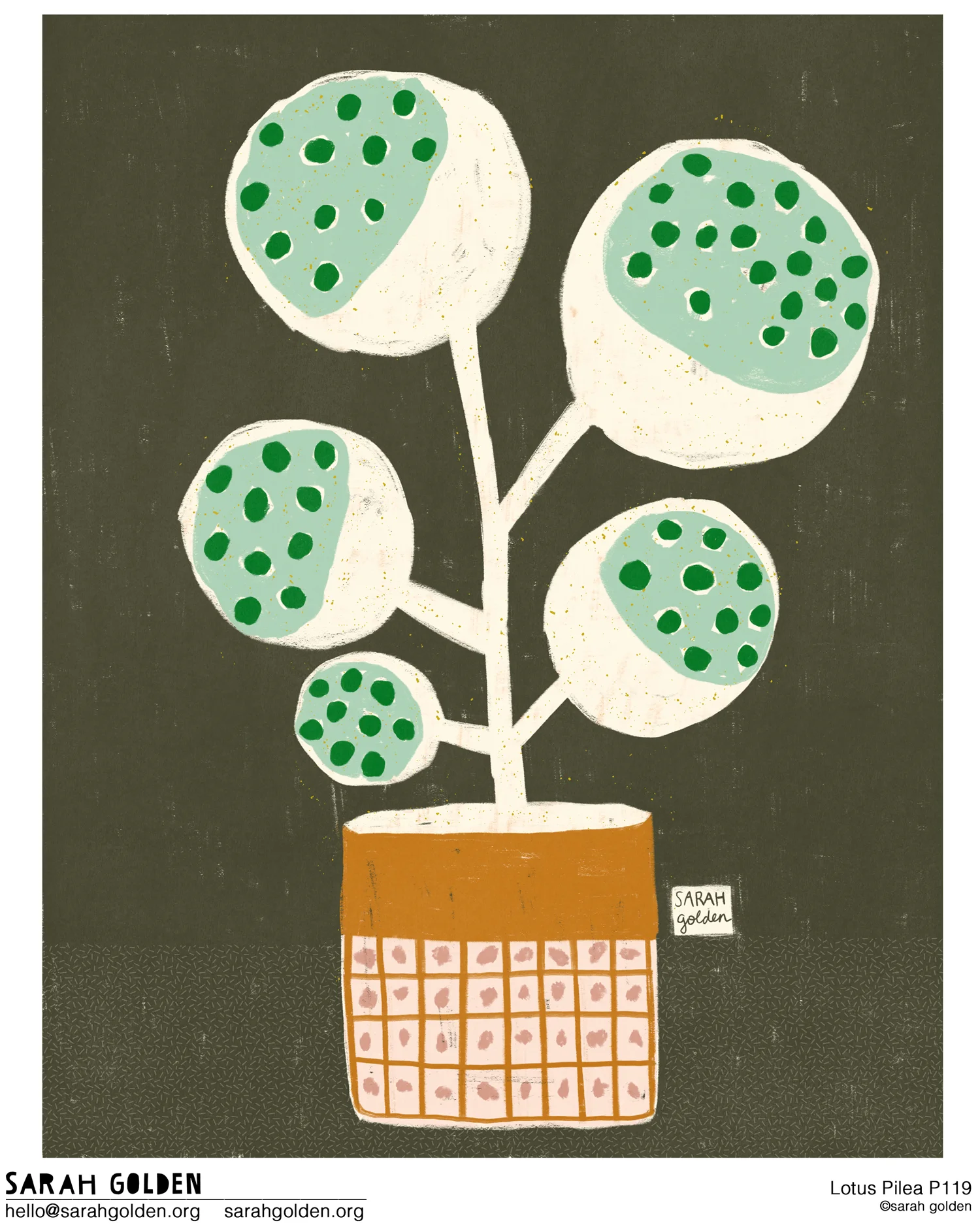 Lotus-Pilea_P119_Catalog_Sarah_Golden_logo_web.jpg