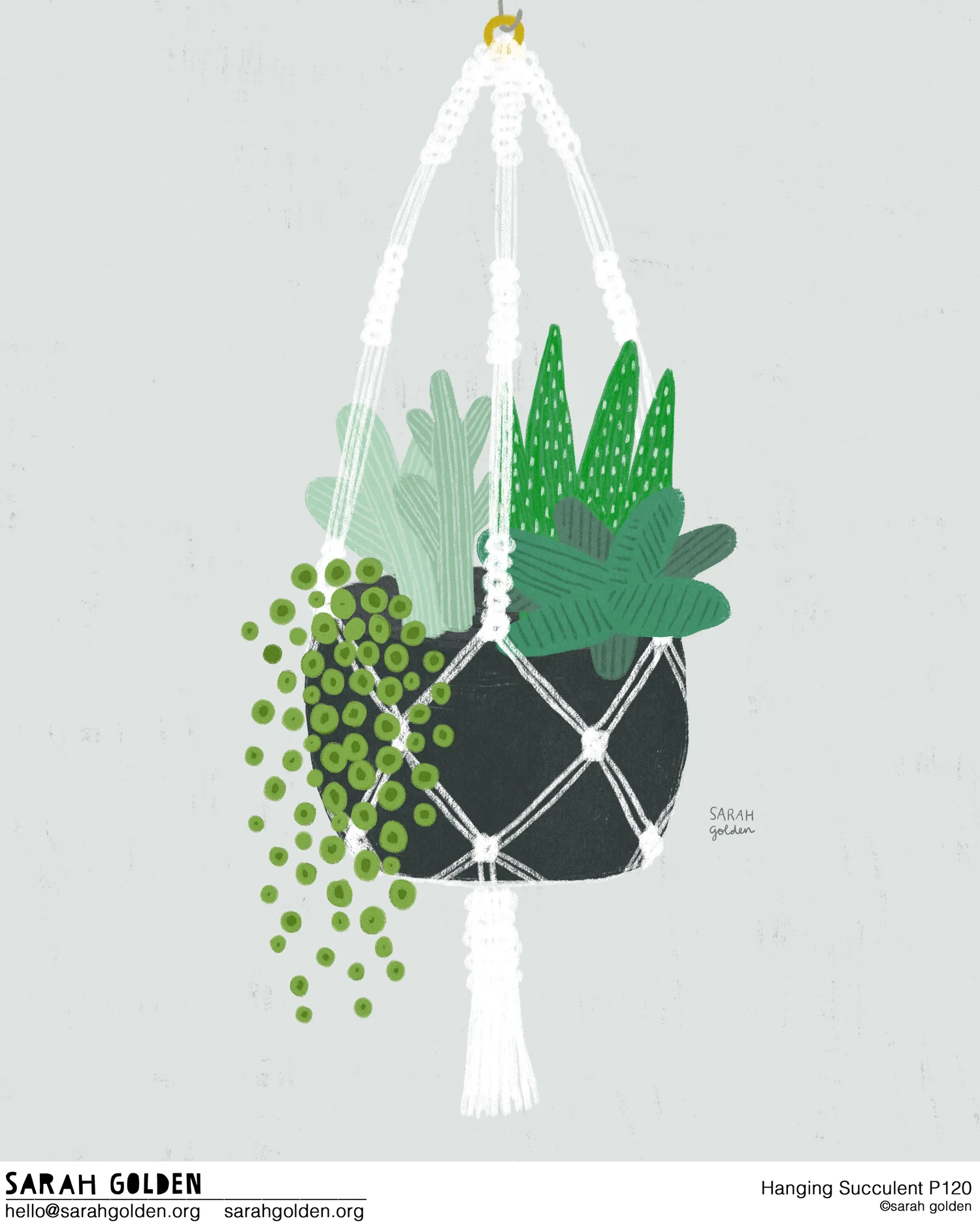 Hanging_Succulent_P120_Catalog_Sarah_Golden_logo_web.jpg