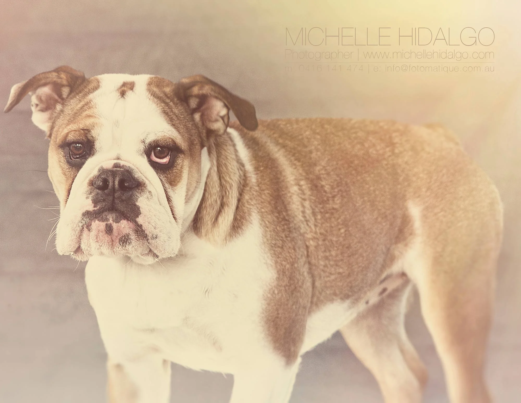 HUGO&SUMMER_030816--001-Edit-Edit-Edit-Edit.jpg