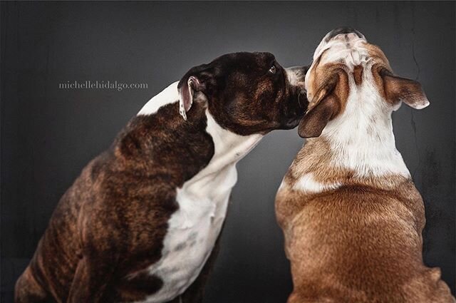 Have to say this is one of my favourite couples 😍
.
📸@mishhidalgo .
.
#humpday #couplegoals