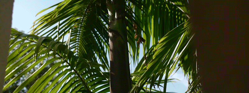 Untitled-2.gif