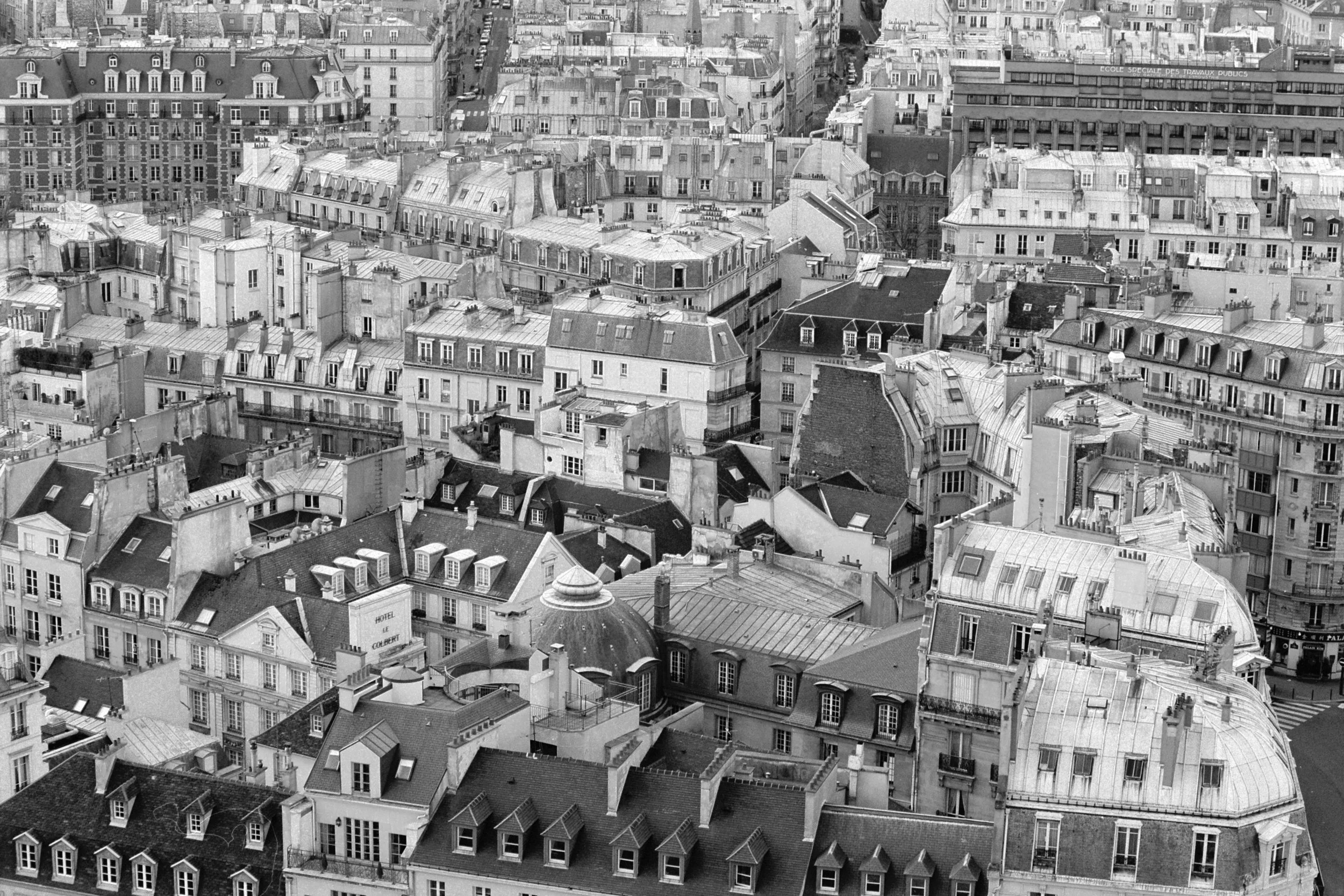 Paris_Roof_hoz_bw copy 1.JPG