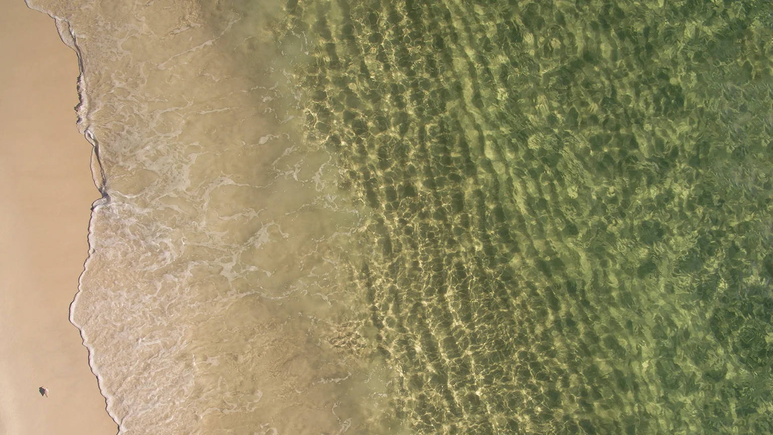 Bird and Sea PCB 16x9 copy.jpg