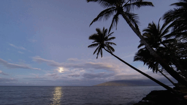 Moon Set Maui.gif