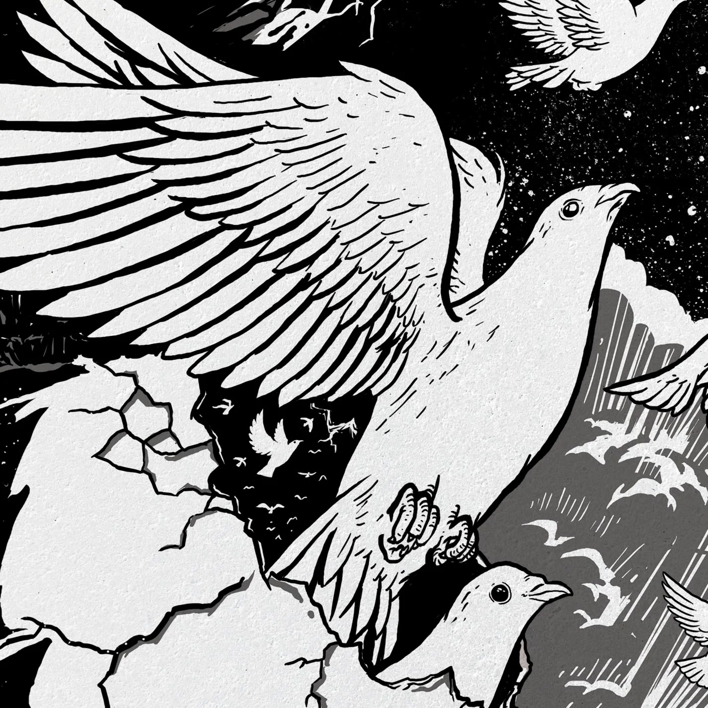 WingsChange_Closeup.jpg