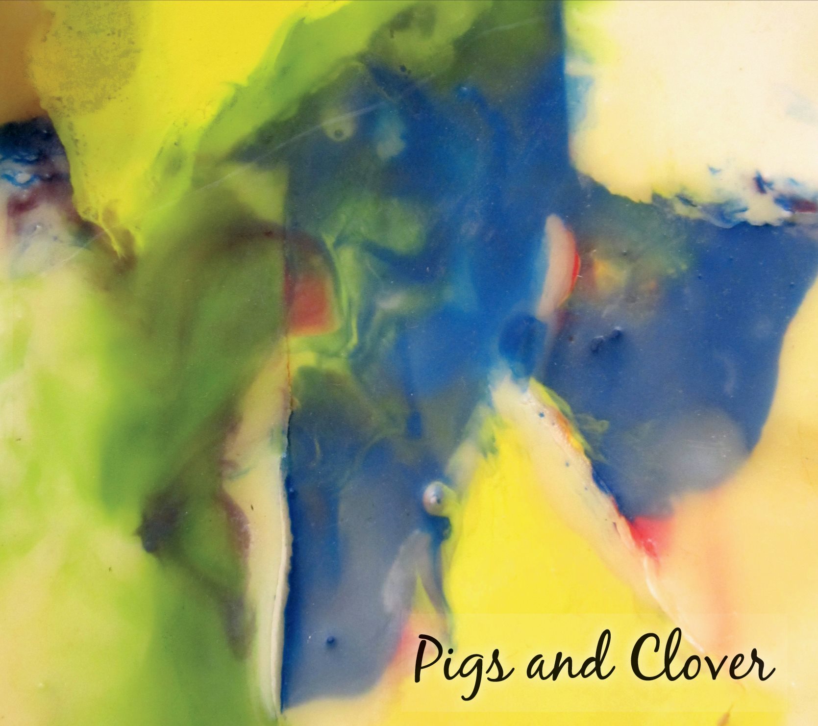 Pigs and Clover