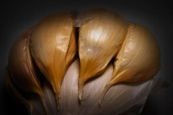 Garlic by Michael Smyth