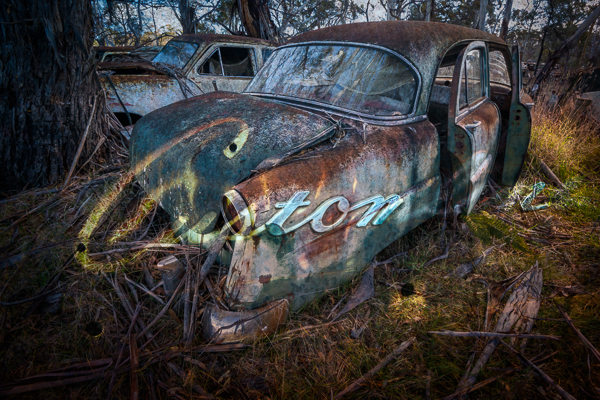 Customline - from the Series "Extinct" by Michael Smyth