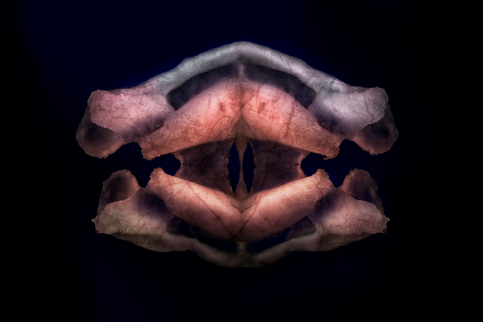 "Transformation" from the Beginnings series by Michael Smyth (c) 2016