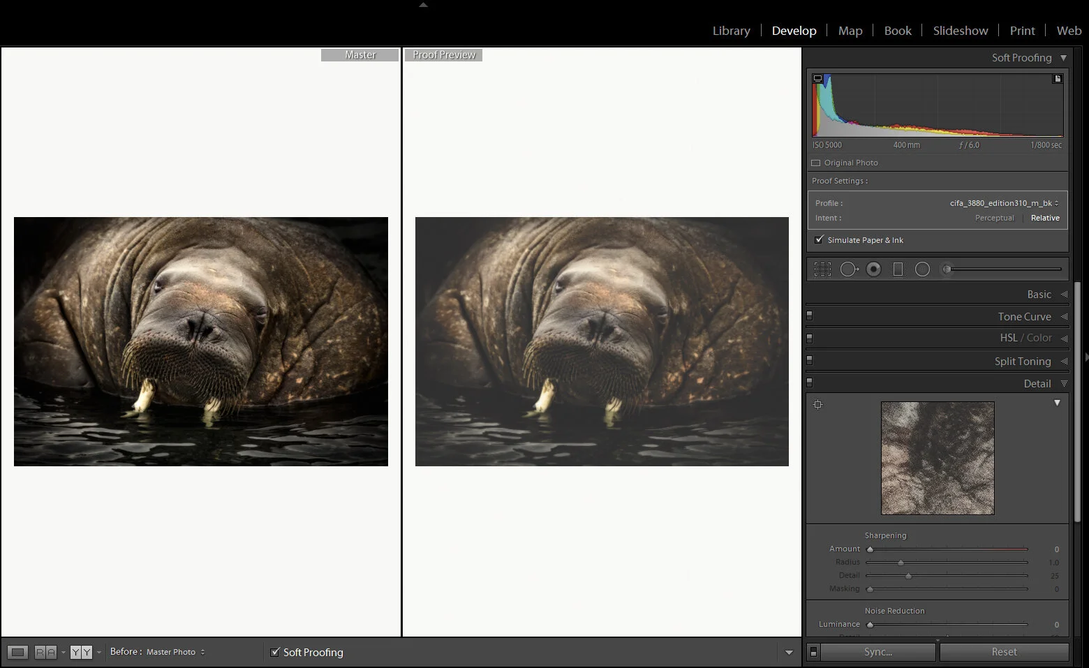How to make a Proof copy in Lightroom