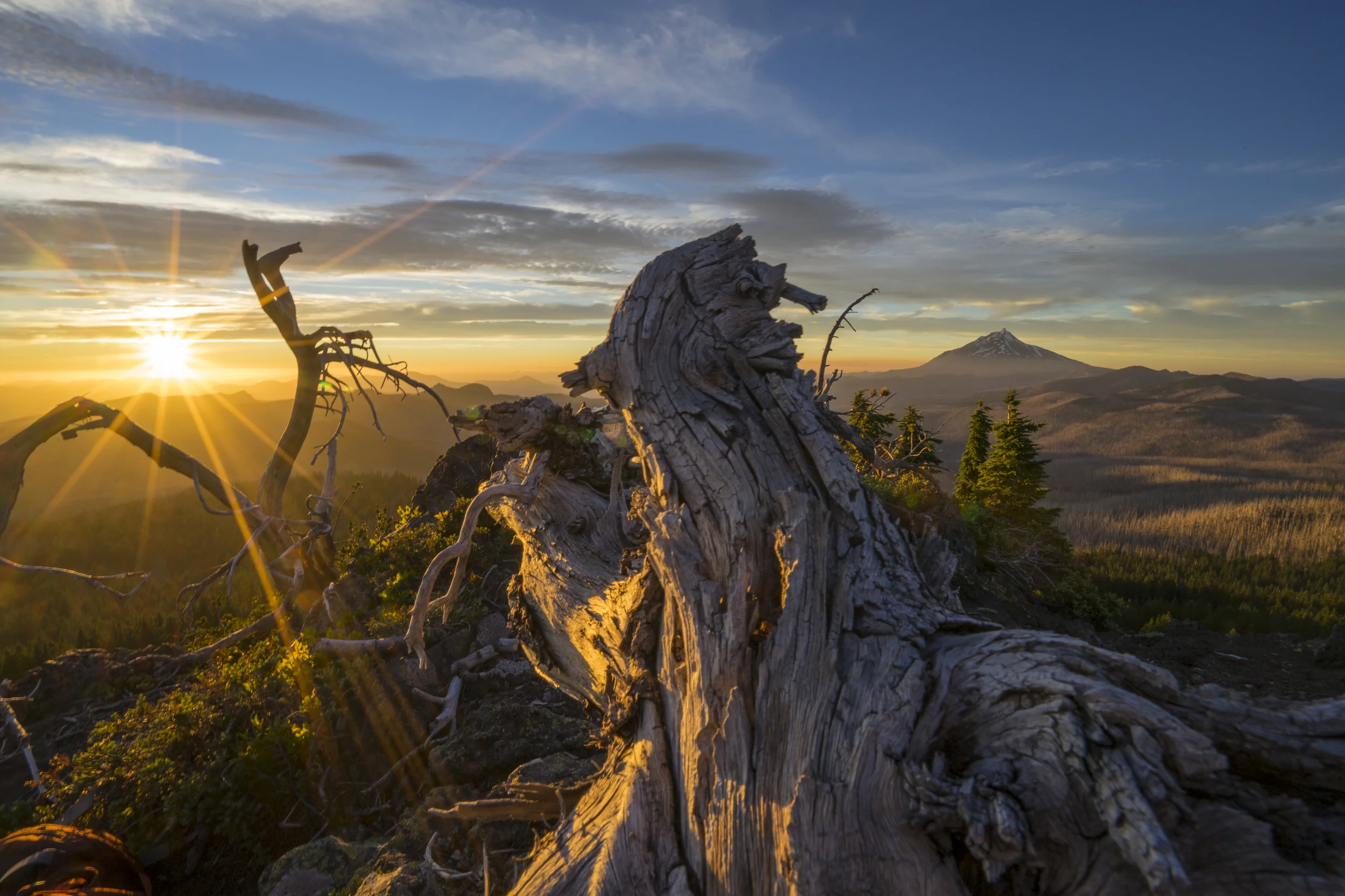 Sunburst with Mt Jefferson, Oregon